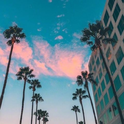 中國青訓會好的